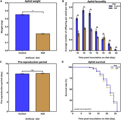 Performance and Transcriptional Response of the Green Peach Aphid Myzus persicae to the Restriction of Dietary Amino Acids